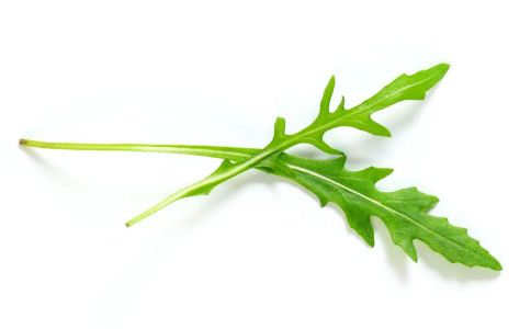 芝麻菜菜谱 芝麻菜的做法 芝麻菜怎么做