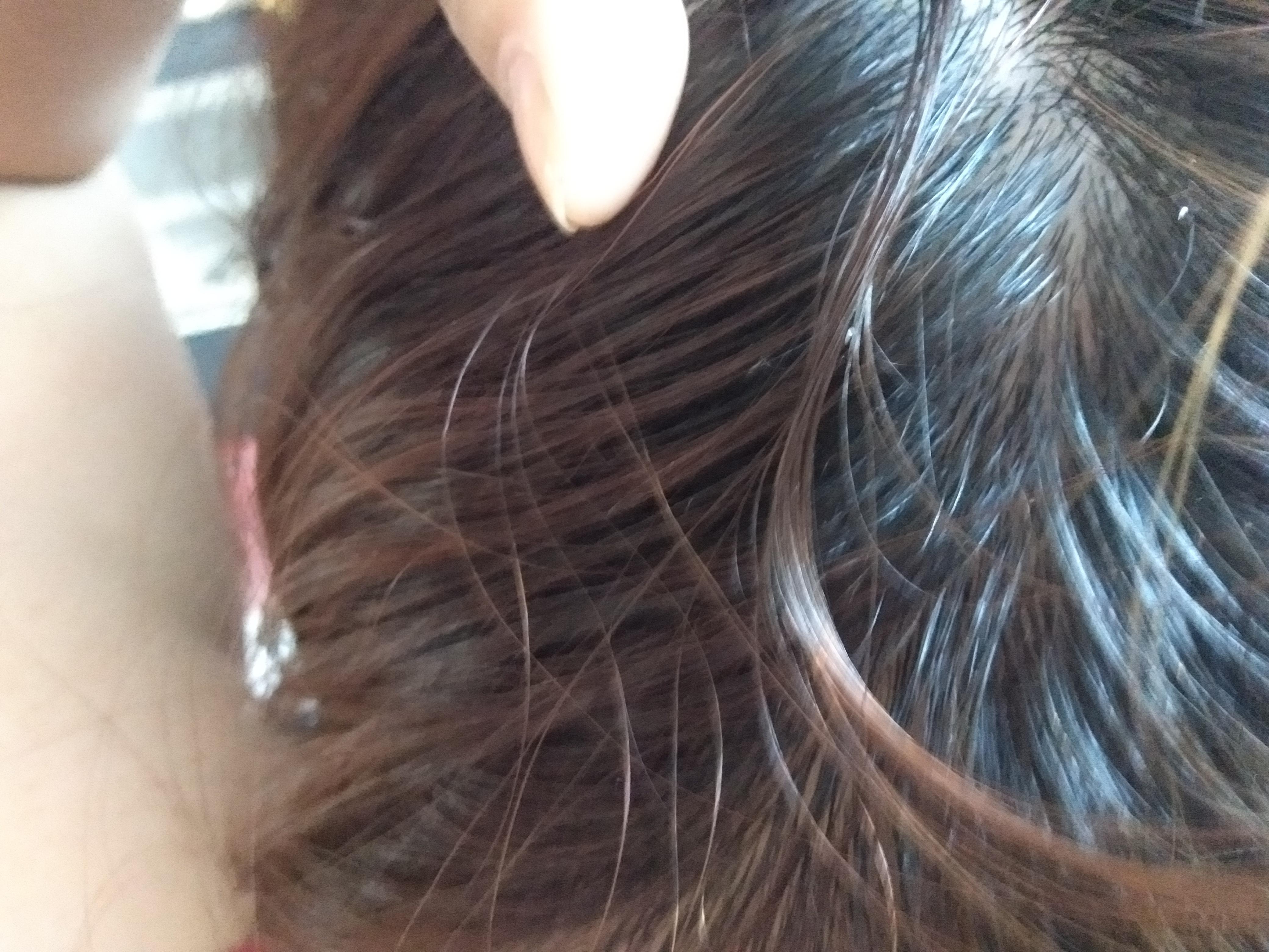 20210616093212.jpg